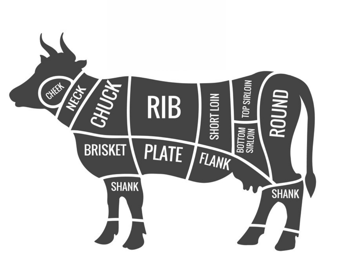 Primal beef cuts diagram